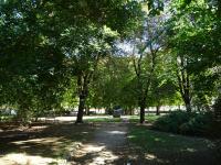 Tisza park belvárosi területének komplex rehabilitációja funkcióbővítéssel